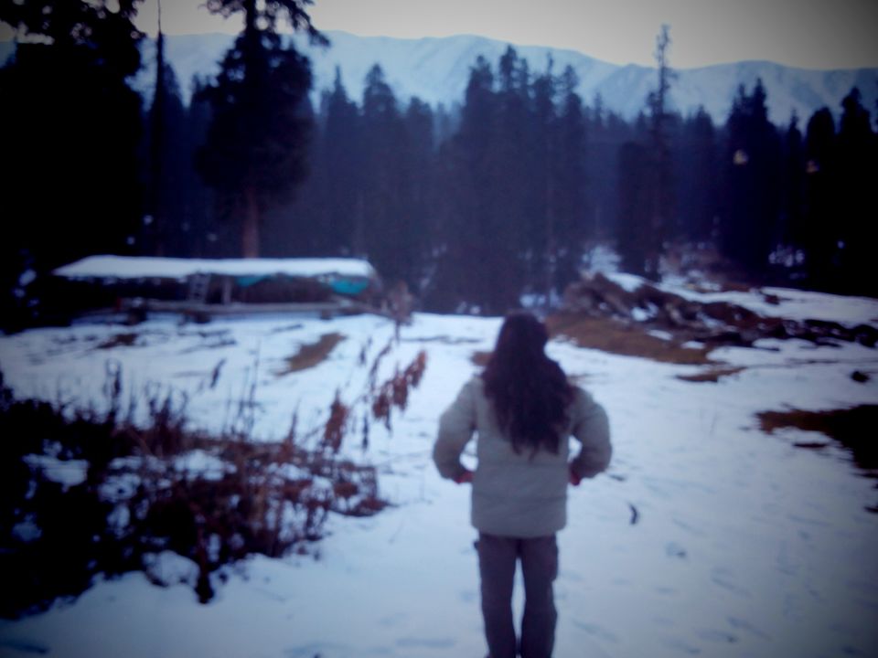 Photo of Where Time Stays Frozen 1/21 by Tanya Singh