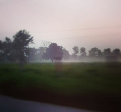 Photo of Where Time Stays Frozen 6/21 by Tanya Singh