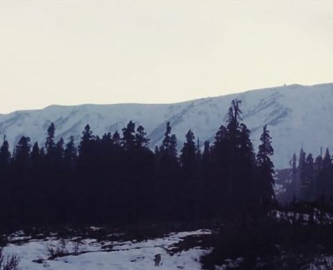 Photo of Where Time Stays Frozen 12/21 by Tanya Singh