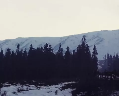 Photo of Pahalgam, Pahalgam by Tanya Singh