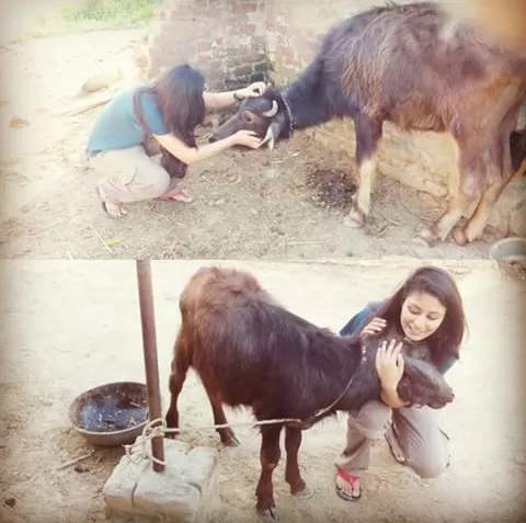 Photo of Meerut, Meerut, Uttar Pradesh, India by Tanya Singh