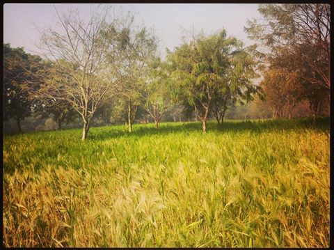 Photo of Where Time Stays Frozen 17/21 by Tanya Singh