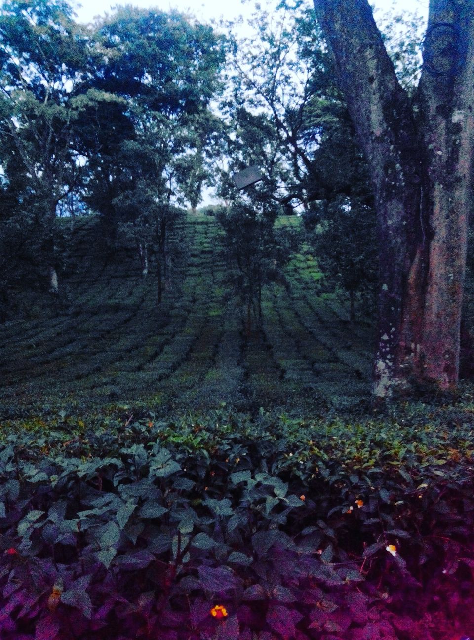 Photo of Where Time Stays Frozen 19/21 by Tanya Singh