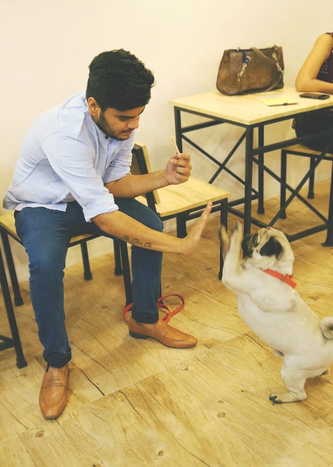 Photo of Dog Lovers, There Are Finally Two Dog-Friendly Cafes In India! 8/14 by Tanya Singh