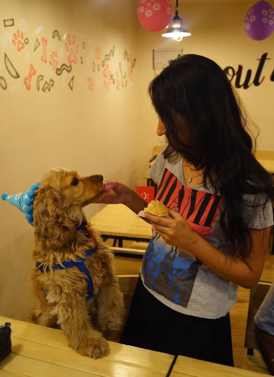 Photo of Dog Lovers, There Are Finally Two Dog-Friendly Cafes In India! 6/14 by Tanya Singh