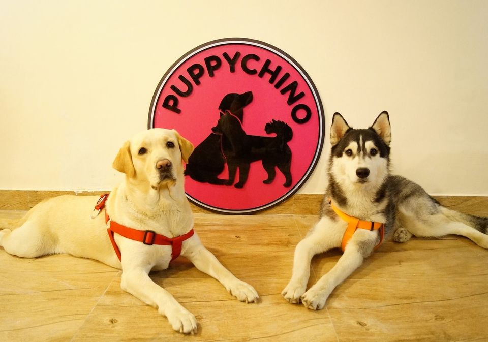 Photo of Dog Lovers, There Are Finally Two Dog-Friendly Cafes In India! 14/14 by Tanya Singh