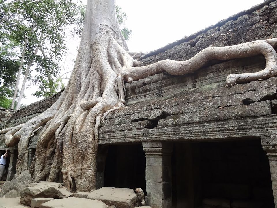 Photo of Group Tour of Angkor, Cambodia 5/7 by Theam Vuthy