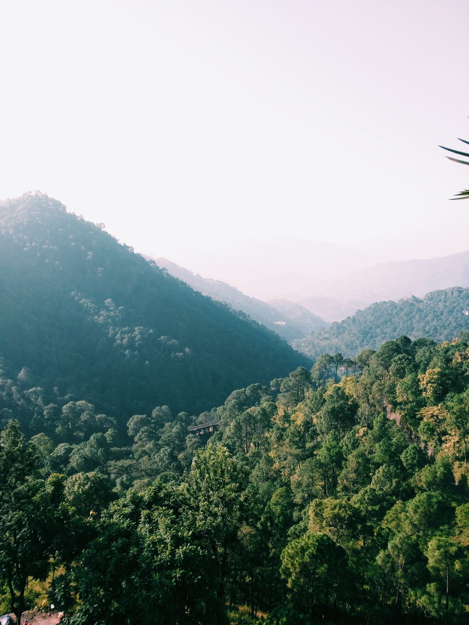 Photo of "And the Mountains Echoed" - Trip to Kasauli by Shreya Rathi
