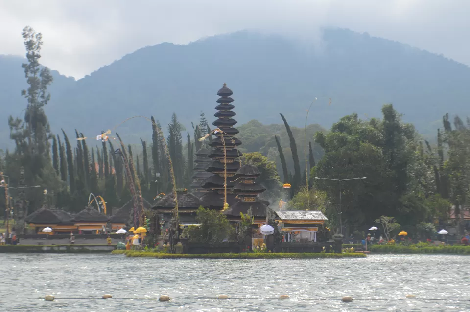 Photo of Bedugul Botanical Garden, Jalan Kebun Raya, Batunya, Tabanan Regency, Bali, Indonesia by Supraja