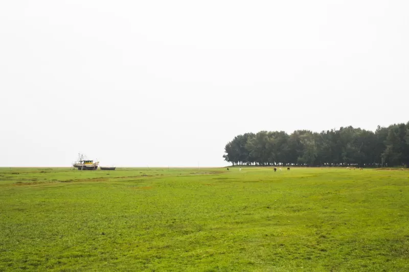 Photo of Chandipur Beach, Chandipur Beach Road, Chandipur, Odisha, India by Bong Blogger