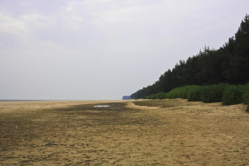 Photo of Chandipur Beach, Chandipur Beach Road, Chandipur, Odisha, India by Bong Blogger