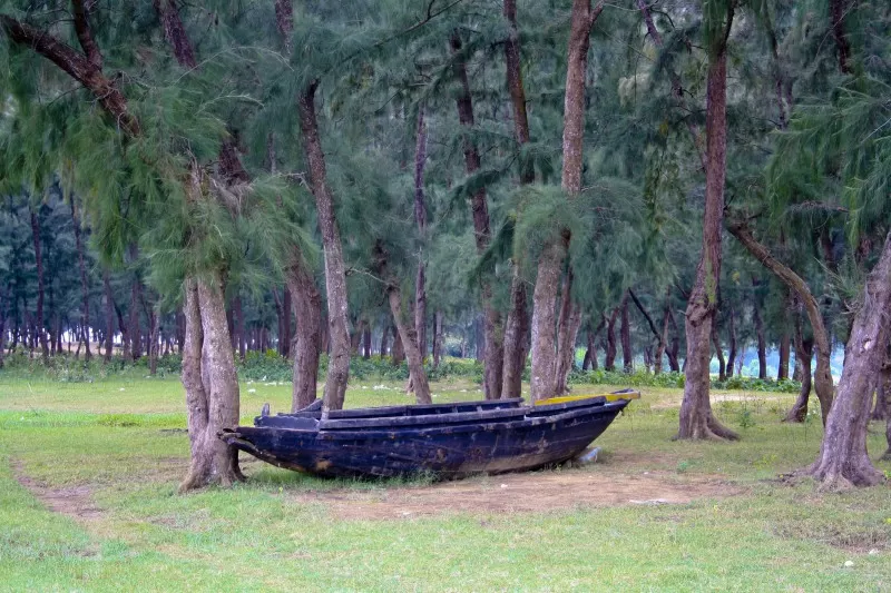 Photo of Balaramgadi Road, Balasore, Odisha, India by Bong Blogger