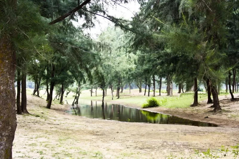 Photo of Balaramgadi Road, Balasore, Odisha, India by Bong Blogger