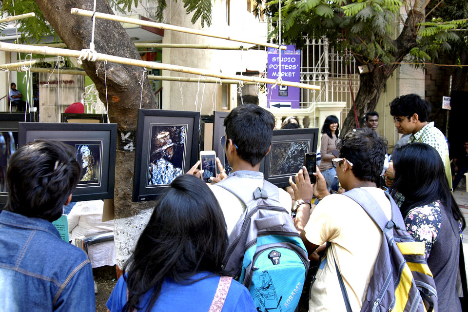 Photo of Nature's Painting at Kala Ghoda Arts Festival 2016 4/5 by Hiamije