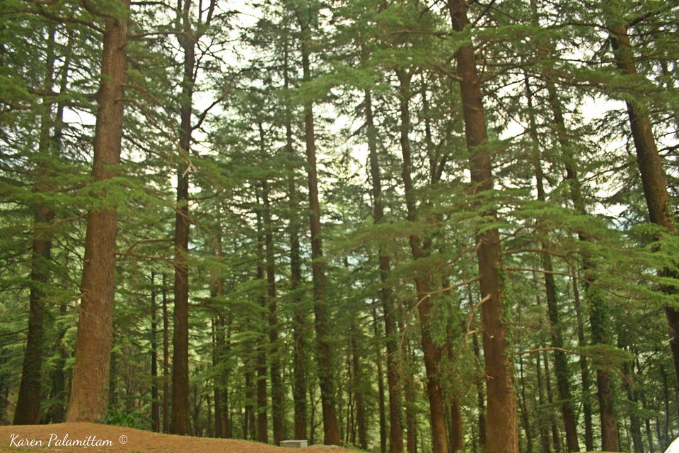 Photo of Dalhousie, Khajjiar and Dharamshala- my first trip to North India by Karie LP