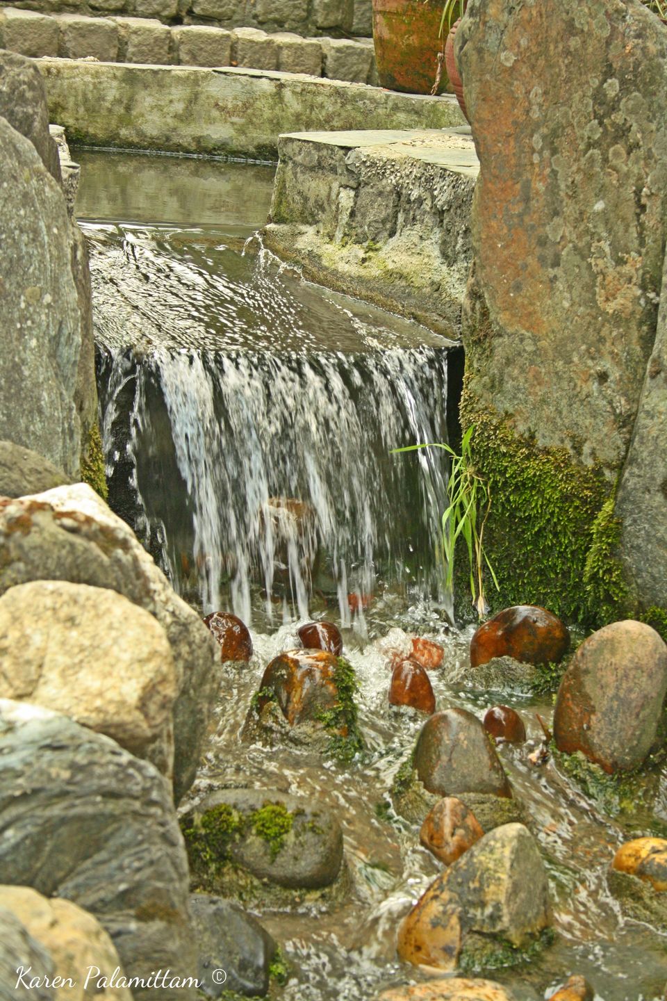 Photo of Dalhousie, Khajjiar and Dharamshala- my first trip to North India by Karie LP