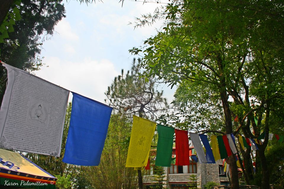 Photo of Dalhousie, Khajjiar and Dharamshala- my first trip to North India by Karie LP