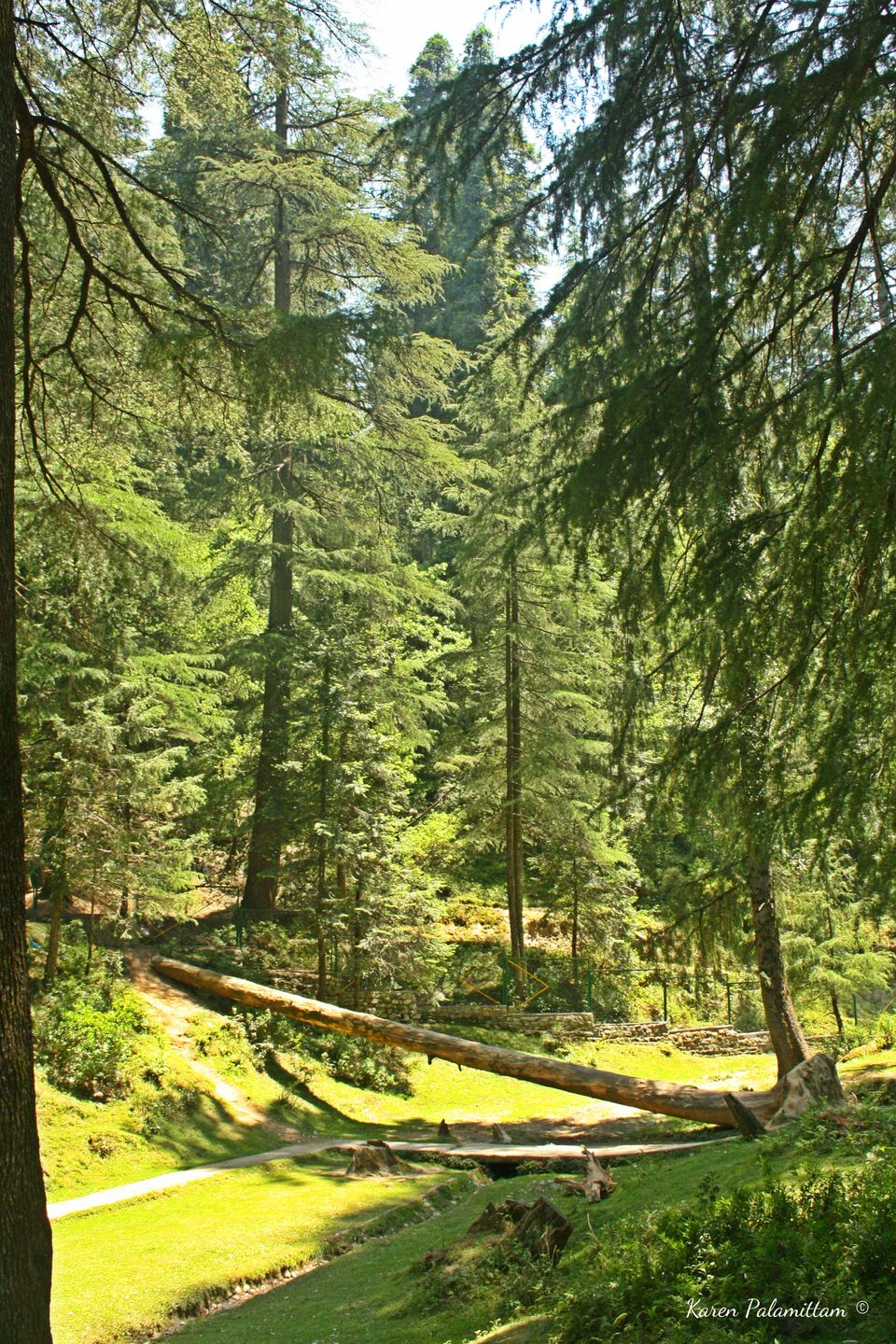Photo of Dalhousie, Khajjiar and Dharamshala- my first trip to North India by Karie LP
