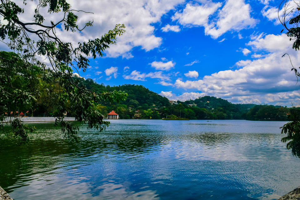 Photo of Couchsurfing in Sri Lanka: How I managed 15 days Solo trip in just 30K INR by Rachita Saxena