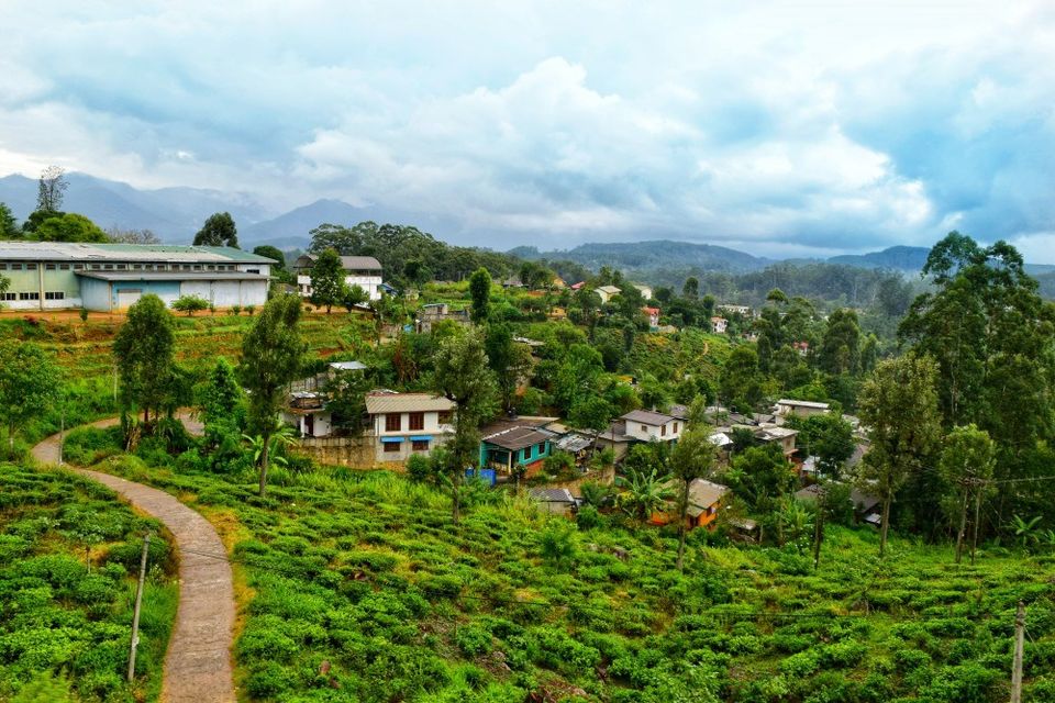 Photo of Ella, Sri Lanka by Rachita Saxena