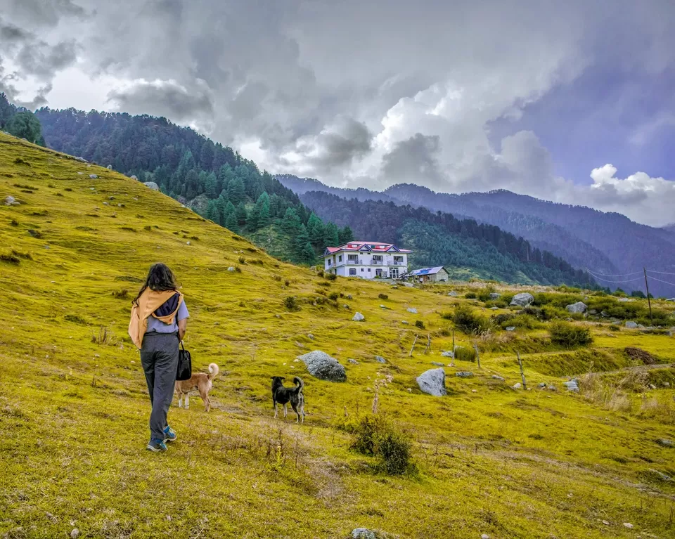 Photo of Rajgundha, Himachal Pradesh (India), Kangra, Himachal Pradesh, India by Rachita Saxena