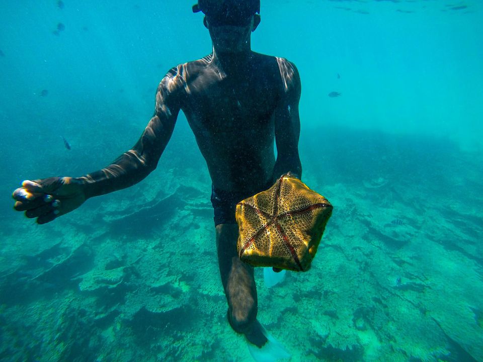 Photo of Glass Bottom Boat Snorkeling Tour in Mauritius: Your Guide to Explore the Exotic Underwater World by Rachita Saxena