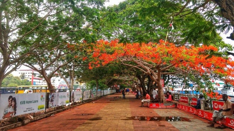 Photo of Ernakulam, Kerala, India by Rachita Saxena