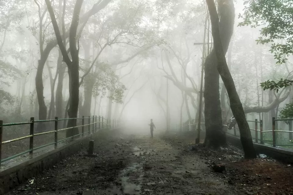 Photo of Matheran, Maharashtra, India by Rachita Saxena