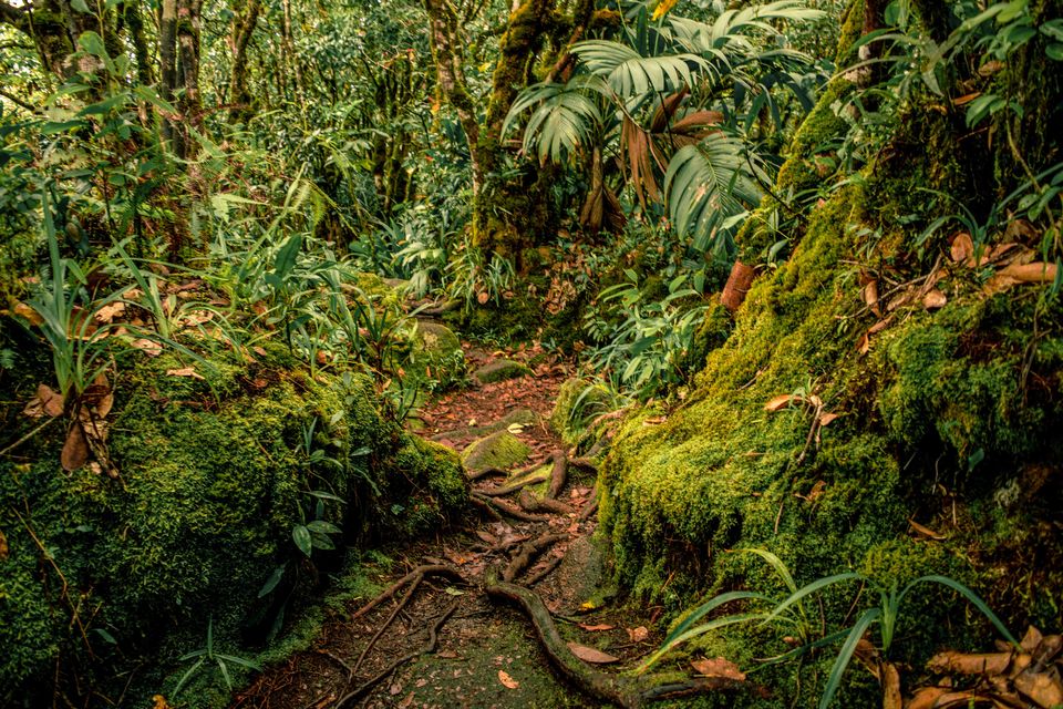 Photo of One of the Best Hikes in Seychelles for an Amazing Panoramic View of the Island That You Can Do Solo by Rachita Saxena