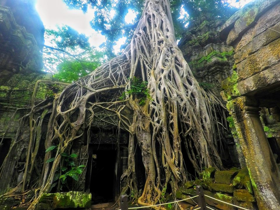 Photo of Top 8 Angkor Wat Temples That You Should Definitely Visit in Cambodia 1/3 by Rachita Saxena