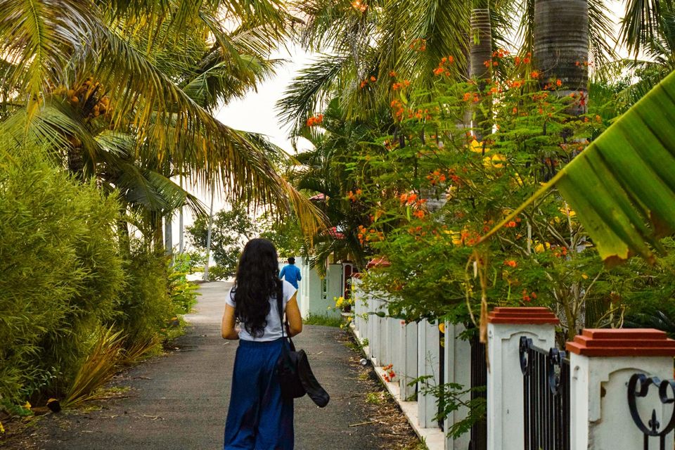 Photo of This is How I Enjoyed a Stay on the Houseboat in Alleppey in Just 2000 INR for 2 Days by Rachita Saxena
