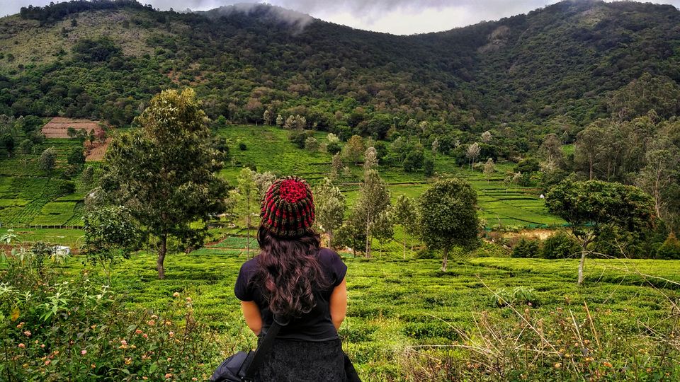 Photo of A Lesser Known Paradise in Nilgiri Hills Which is a Better Alternative to Ooty by Rachita Saxena