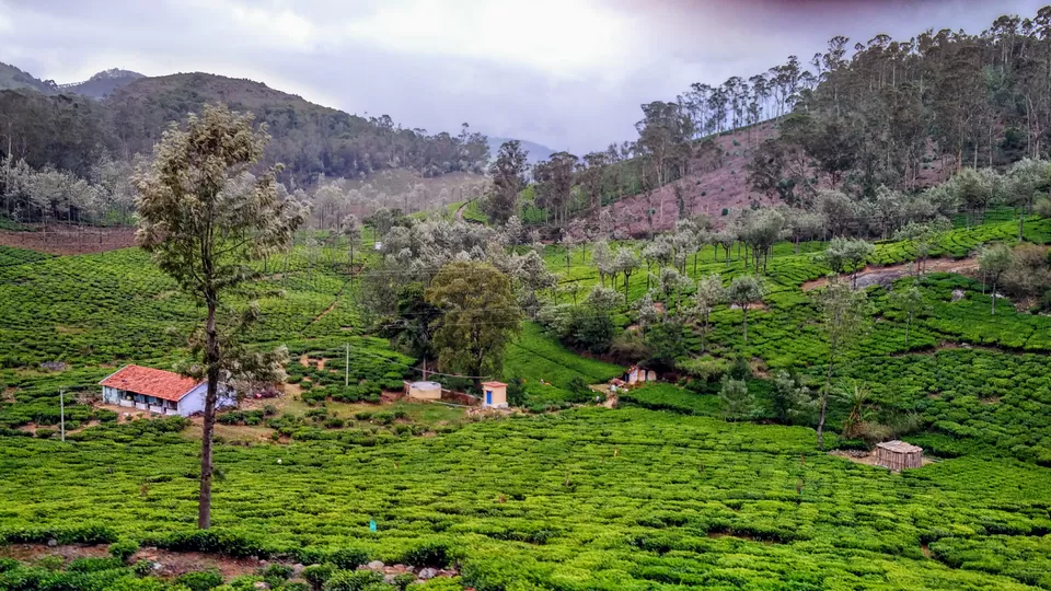 Photo of Kodanad, Tamil Nadu, India by Rachita Saxena