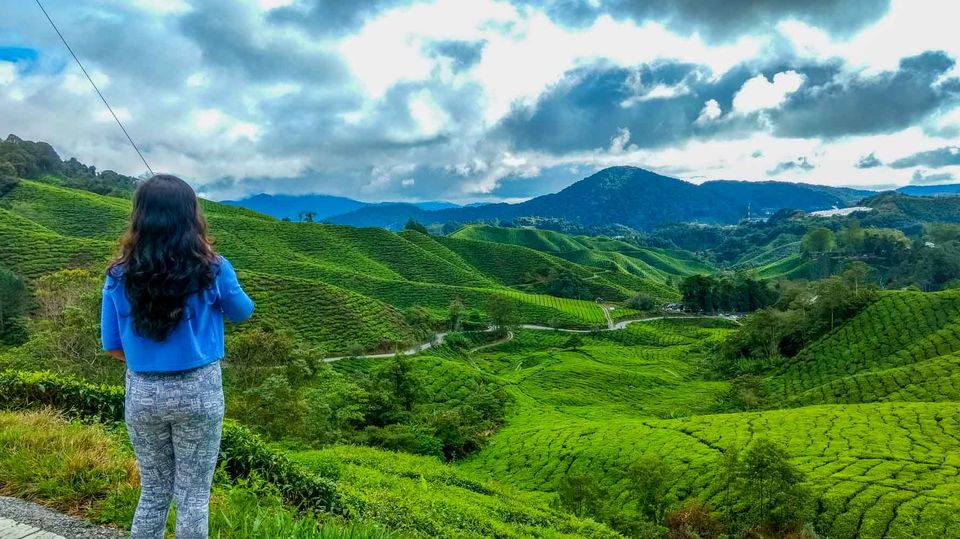 Photo of Cameron Highlands, Pahang, Malaysia by Rachita Saxena