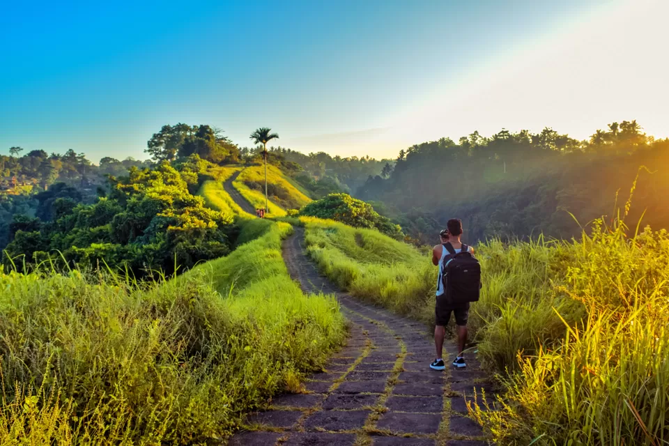Photo of Campuhan Ridge Walk, Jalan Raya Campuan, Sayan, Gianyar, Bali, Indonesia by Rachita Saxena