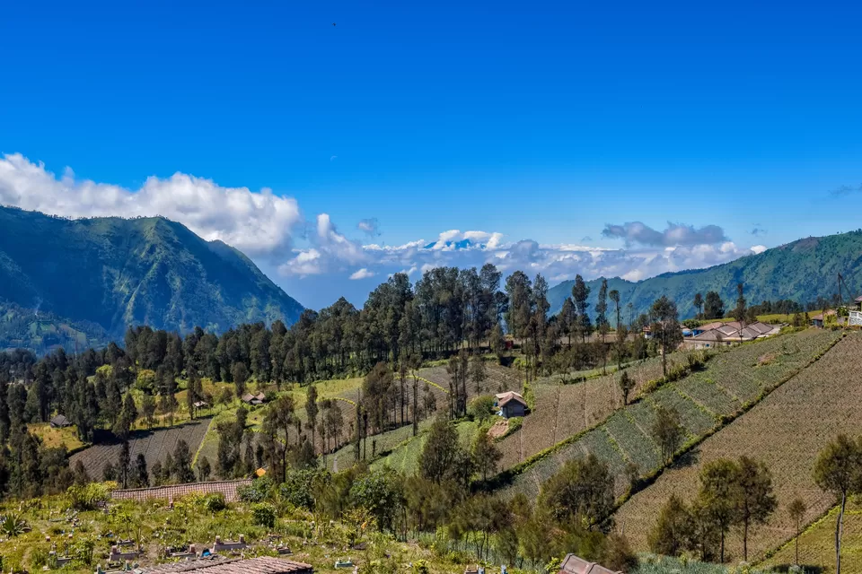 Photo of Cemorolawang, Ngadisari, Probolinggo, East Java, Indonesia by Rachita Saxena