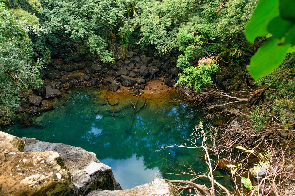 Photo of I Reached One of the Most Gorgeous Waterfalls in Mauritius
That No One Knows About in Just 60 INR by Rachita Saxena