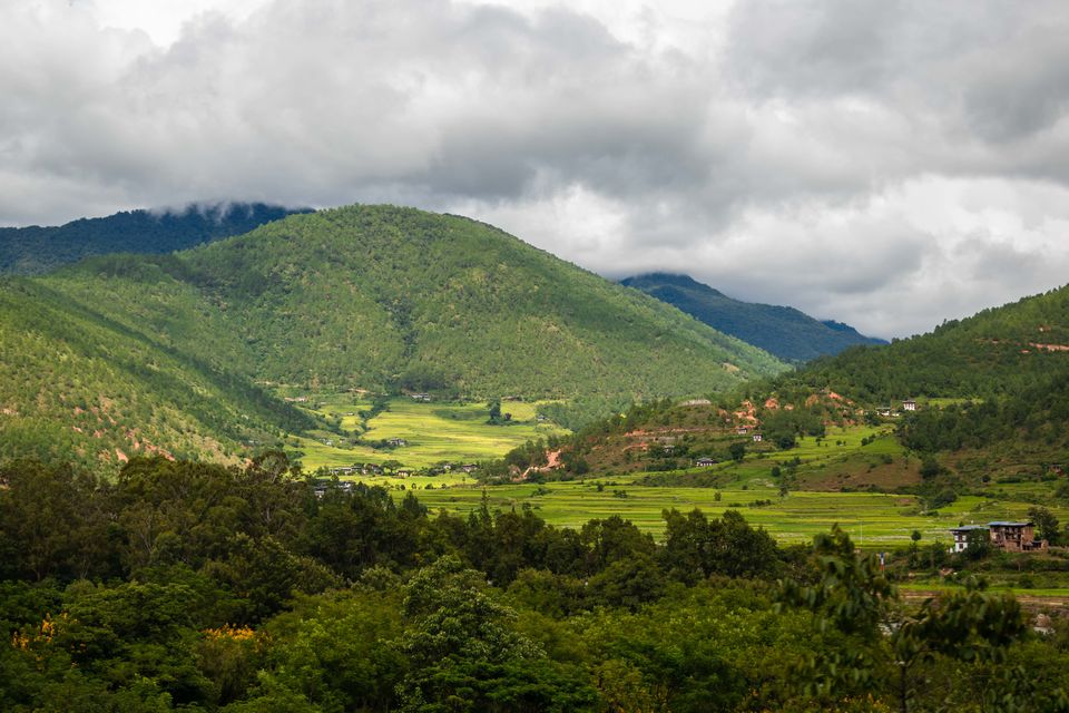 Photo of I Urge You to Include Phobjikha Valley in Your Bhutan Itinerary and This is Why by Rachita Saxena