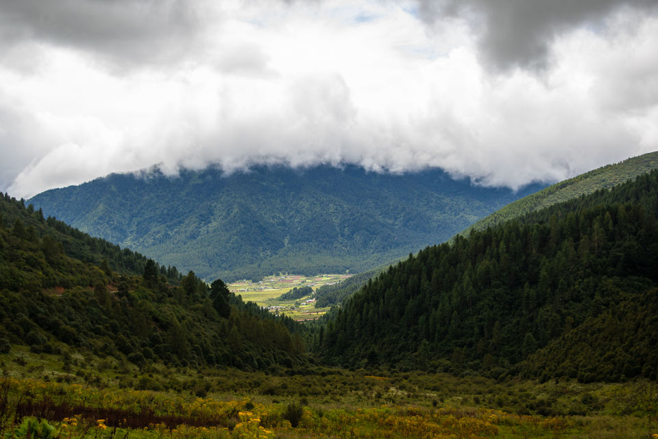 Photo of I Urge You to Include Phobjikha Valley in Your Bhutan Itinerary and This is Why by Rachita Saxena