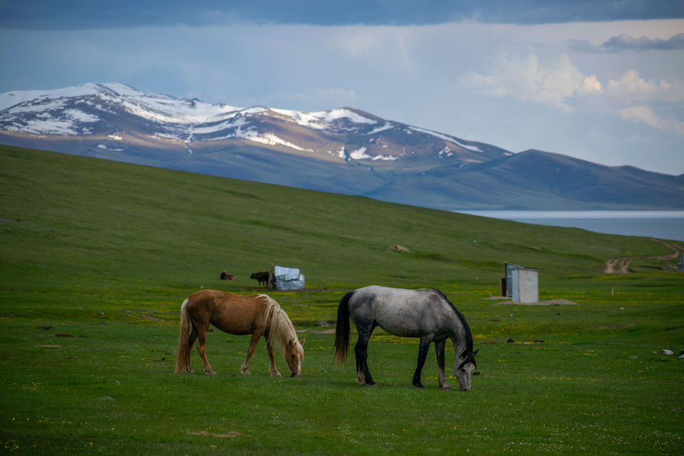 Photo of What to Expect in Terms of Culture and Dressing When Visiting Central Asian Countries by Rachita Saxena