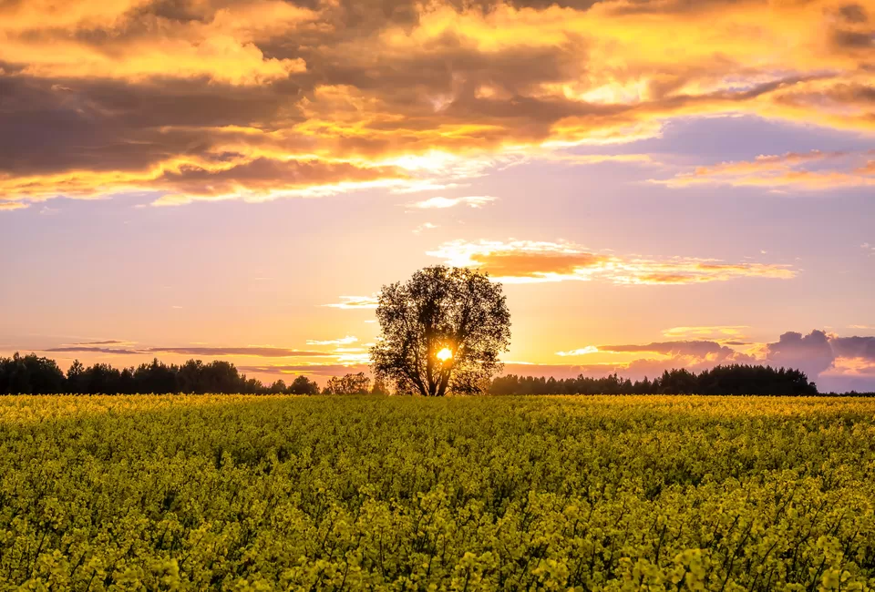 Photo of Estonia by Rachita Saxena