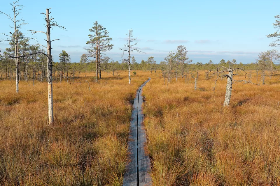 Photo of Here's Why Estonia is Topping Our Travel Charts in 2020 by Rachita Saxena