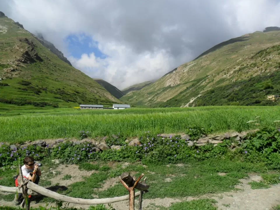 Photo of Charang Khas, Himachal Pradesh, India by Sonu Negi
