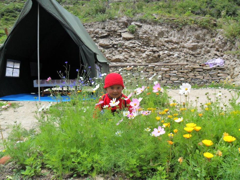 Photo of Charang Khas, Himachal Pradesh, India by Sonu Negi