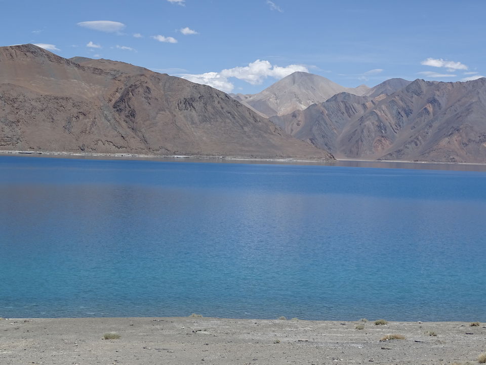 Photo of Mesmerizing Leh by srilakshmi