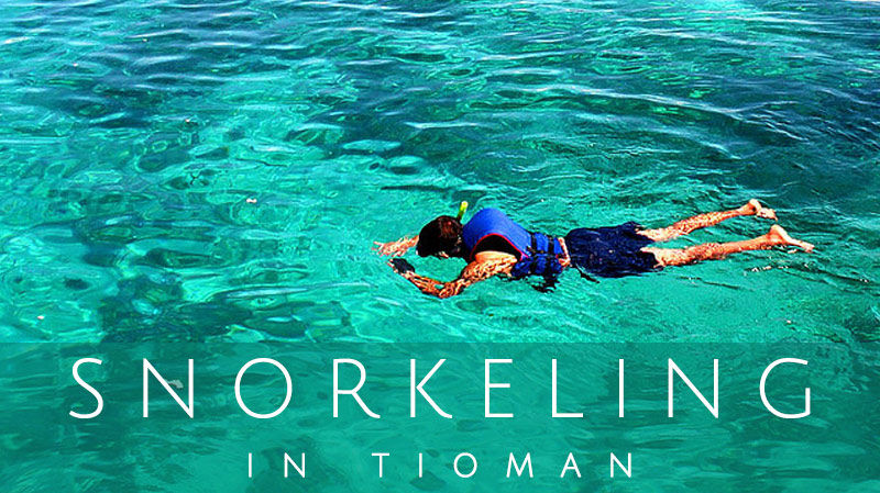 Photo of Why snorkeling should be included in your bucket list ! 2/3 by Shama Kishore