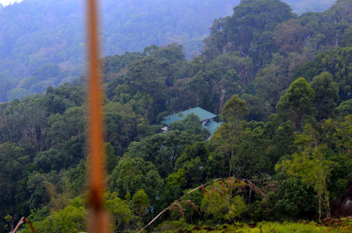 Photo of Tea gardens and much more! 5/12 by Pallavi Washivale