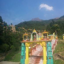 Photo of Tea gardens and much more! 11/12 by Pallavi Washivale