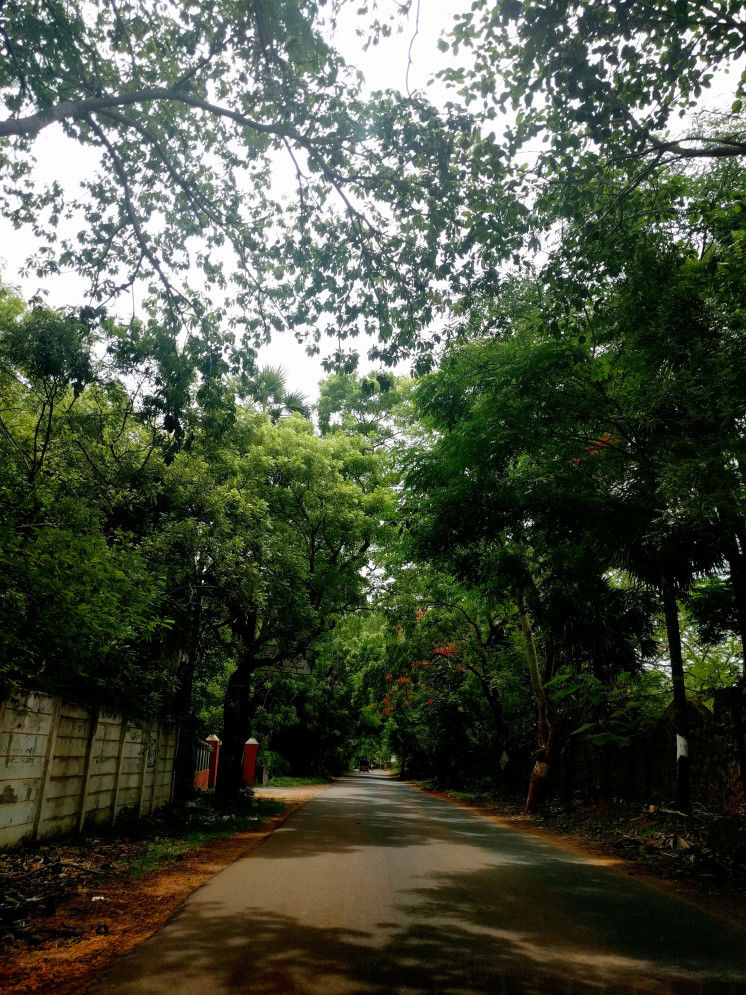 Photo of Why do I keep going to Pondicherry? 4/9 by Pallavi Washivale
