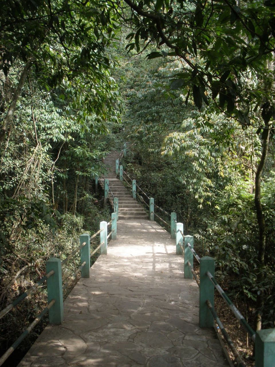Photo of Mesmerizing Meghalaya by Akriti Maheshwari